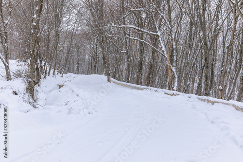 Snow covered road through a forest © alexmu