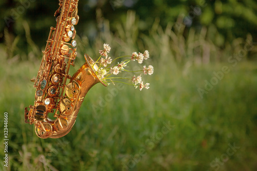 Fototapeta Naklejka Na Ścianę i Meble -  golden beautiful saxophone with wildflowers on a background of greenery in the summer in the park, play in nature, favorite music