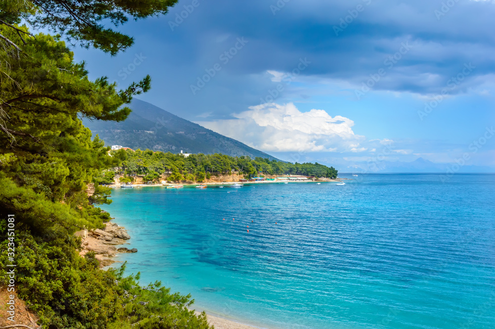 Fototapeta premium Coast near Zlatni Rat or Golden Horn beach in Bol town on Brac Island, Croatia with pine trees and turquoise sea water