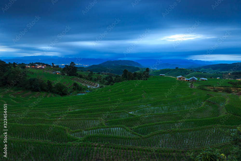 green rice terraces on holiday at pa bong paing village,  Mae-Jam Chiang mai, Thailand