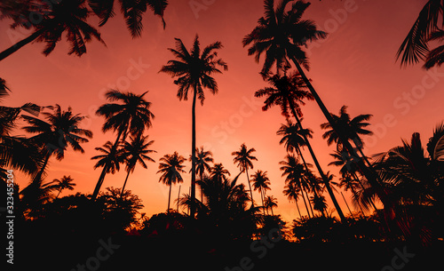Fototapeta Naklejka Na Ścianę i Meble -  Beautiful sunset at the beach in the tropics. Sky and ocean