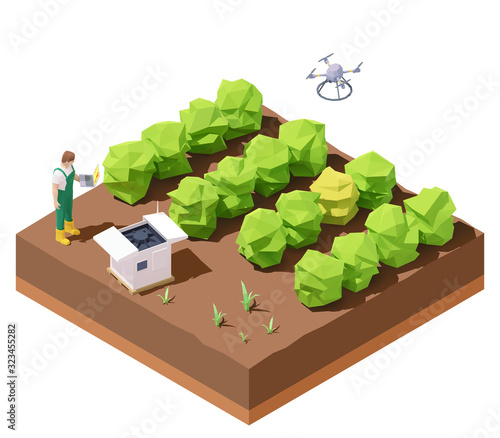 Vector isometric agricultural drone inspecting crop field. Farming autonomous UAV scouting field and monitoring crop health. Farmer with laptop receiving information wirelessly