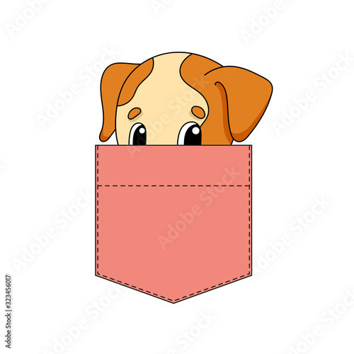 Cute character in shirt pocket. Dog animal. Colorful vector illustration. Cartoon style. Isolated on white background. Design element. Template for your shirts, stickers.