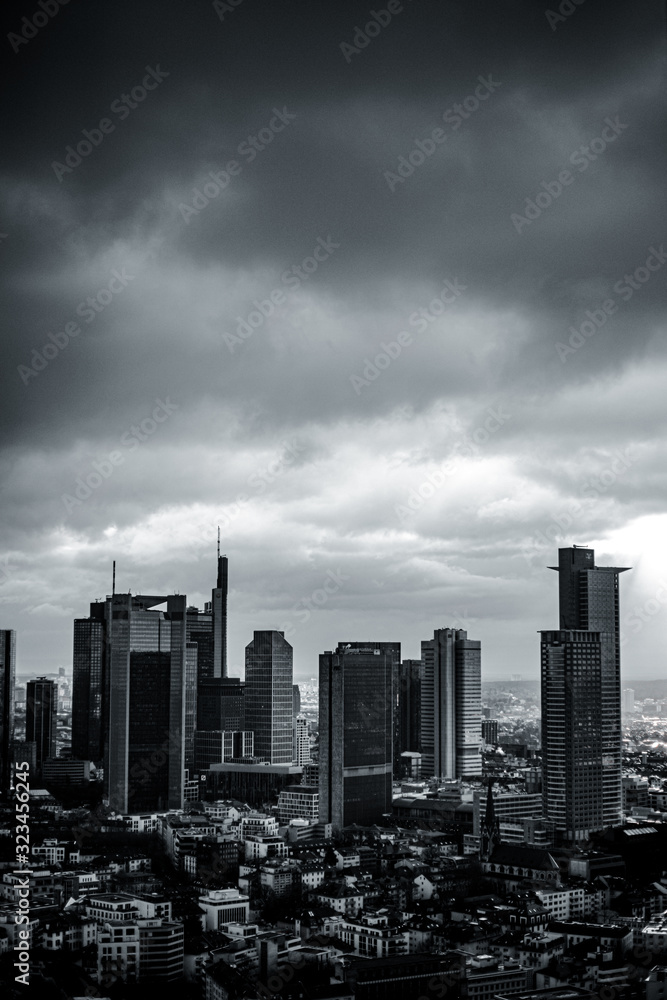 Obraz premium Skyline BW