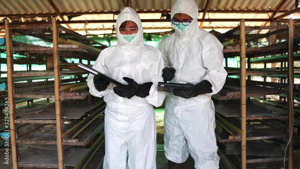 Scientists are monitoring the virus MERS-CoV contamination in the form of chicken waste footage 4K Scientists are monitoring the virus MERS-CoV contamination in the form of chicken waste footage 4K
