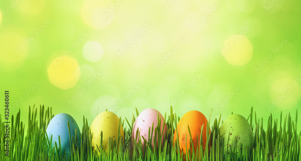 Fototapeta premium Spring background with row of Easter eggs in green grass.
