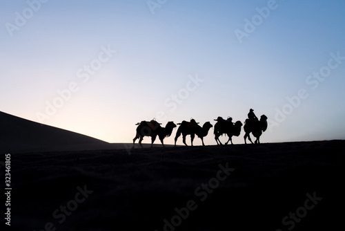 Wallpaper Mural Camels walking on the mountain in Gansu, China. Torontodigital.ca