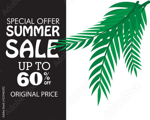 summer sale discount up to 60  off special offer original price vector template illustration