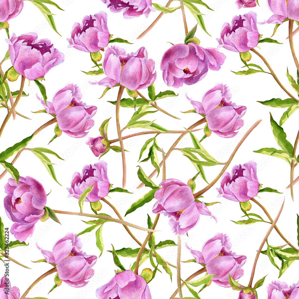 Fototapeta seamless pattern with pink peony flowers