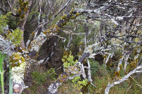 Tongariro Nationalpark Neuseeland