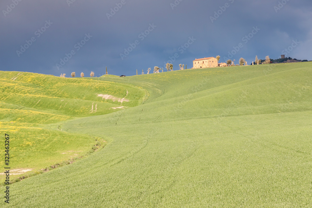 Naklejka premium Tuscany landscape near Pienza village.