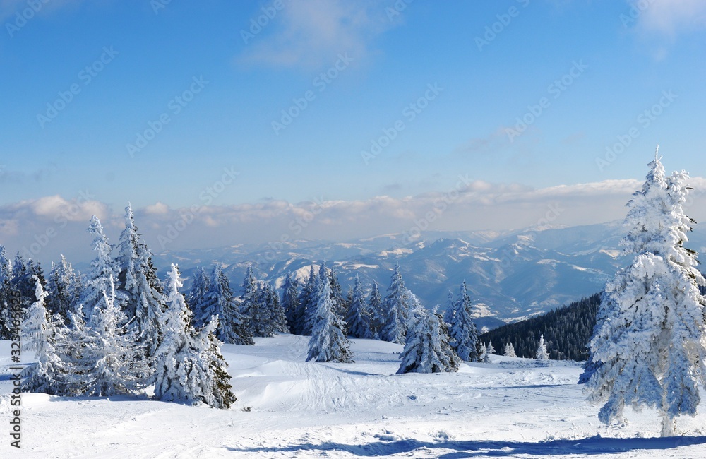 mountain landscape in winter on snow