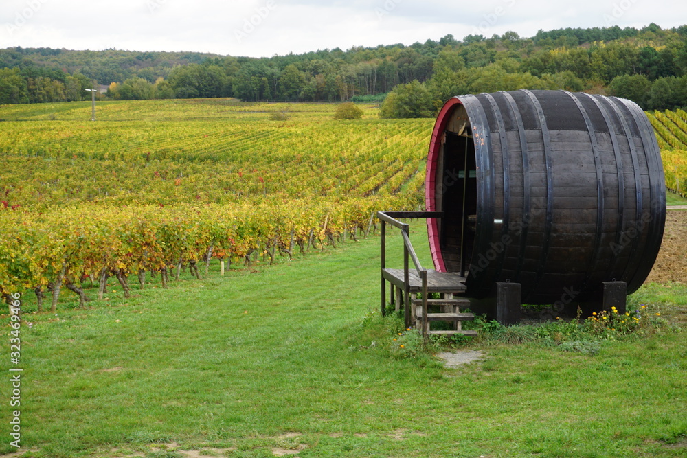 old huge wine barrel in the vineyard inn the fall old huge wine barrel in the vineyard inn the fall