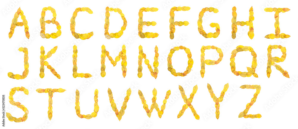 English alphabet letters made of autumn leaves isolated on the white background. English alphabet letters made of autumn leaves isolated on the white background.