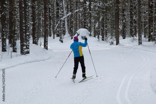 People do cross country skiing in the woods in winter.