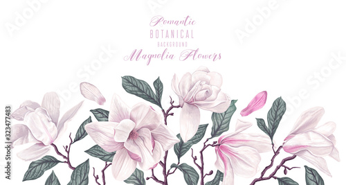 Vector horizontal border with white magnolia flowers and leaves isolated on white background. Spring theme background, vector, botanical floral design in realistic style. Greeting, invitation card.