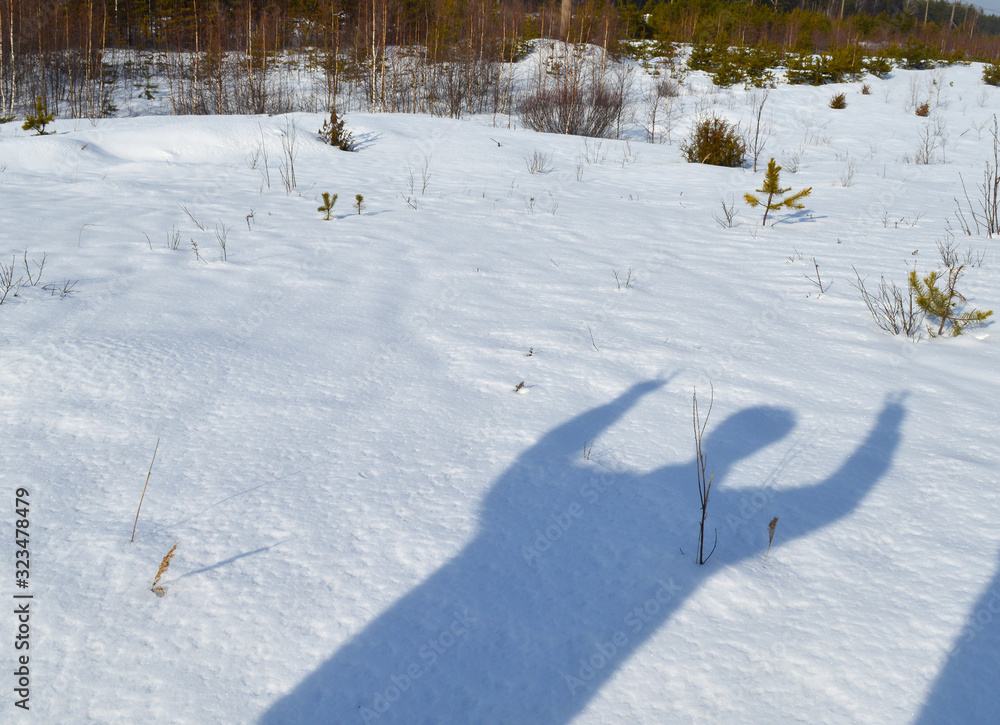 shadow of a man on the background of a snow field and coniferous forest on a winter day