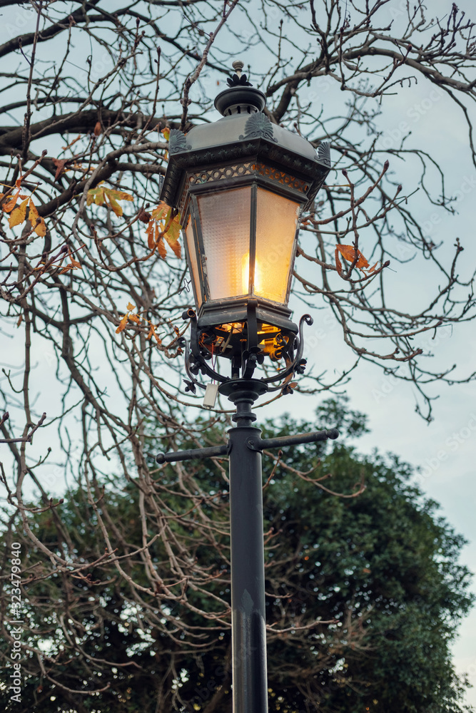 Old style lamp post in front of a leafless tree branches