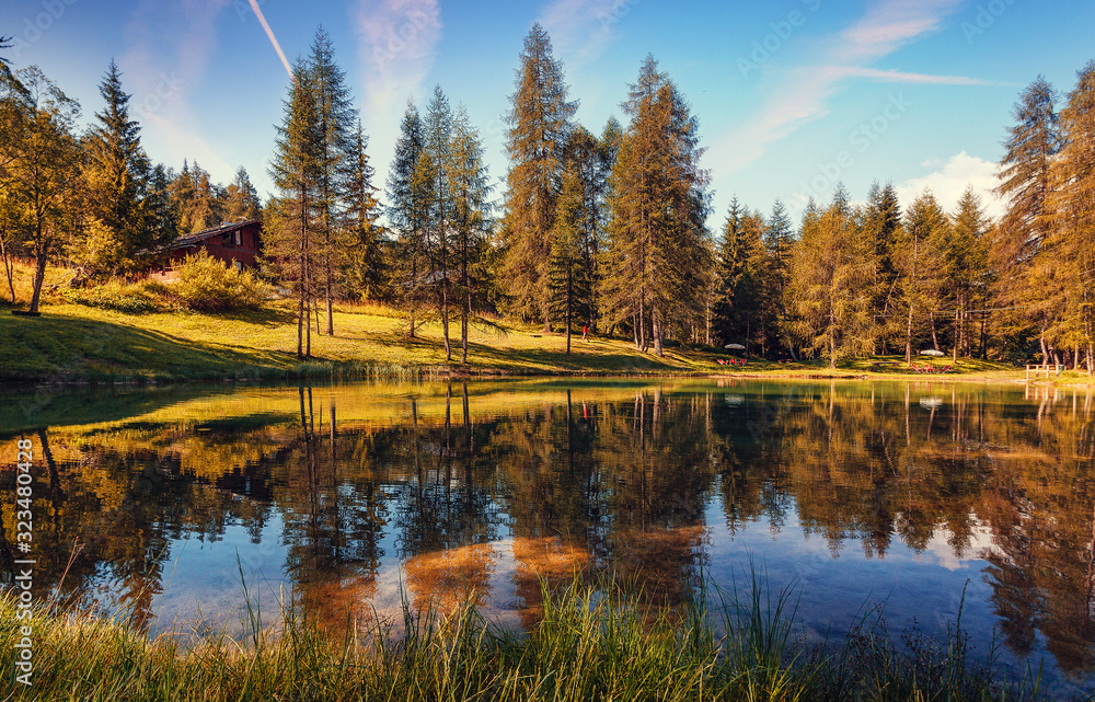 Obraz premium Sunny autumn scene of Scin Lake in Dolomites Alps mountains. Scenic image of fairy-tale woodland in sunlit. Amazing Nature Landscape. Incredible Autumn Scenery. Picture of wild area. poscard