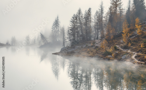 Amazing Federa lake, natural Scenery, during Sunrise. Awesome Landscape. Foggy Dolomites Alps with forest under sunlight. Travel in nature. Beautiful sunrise with Lake and majestic Mountains with fog