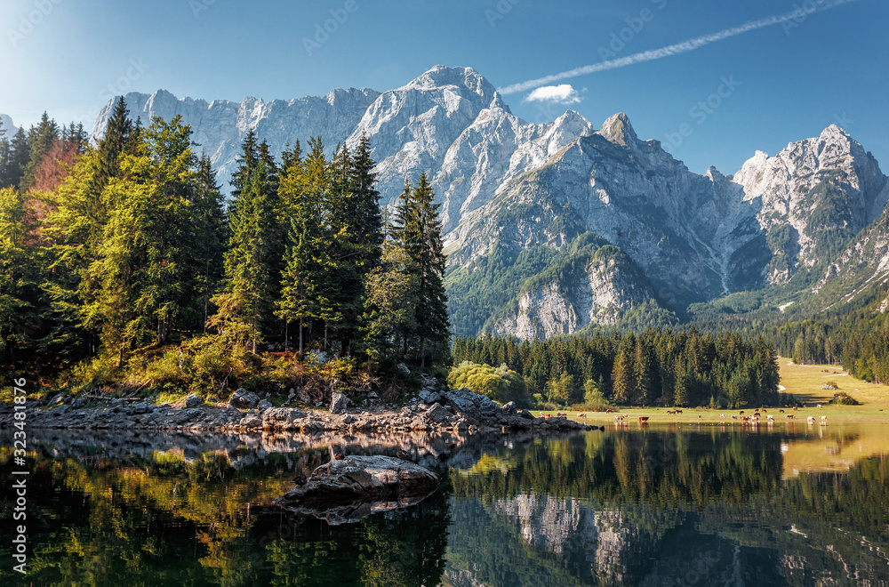 Awesome sunny landscape in the forest. Wonderful Autumn scenery. Picturesque view of nature wild lake. Sun rays through colorful trees. Incredible view on Fusine lakeside. Amazing natural Background