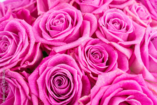 seamless background of pink roses