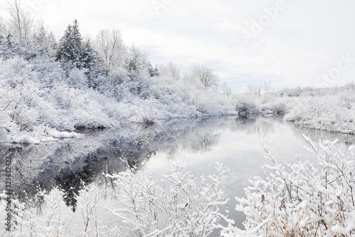 Winter landscape with trees, snow and water
