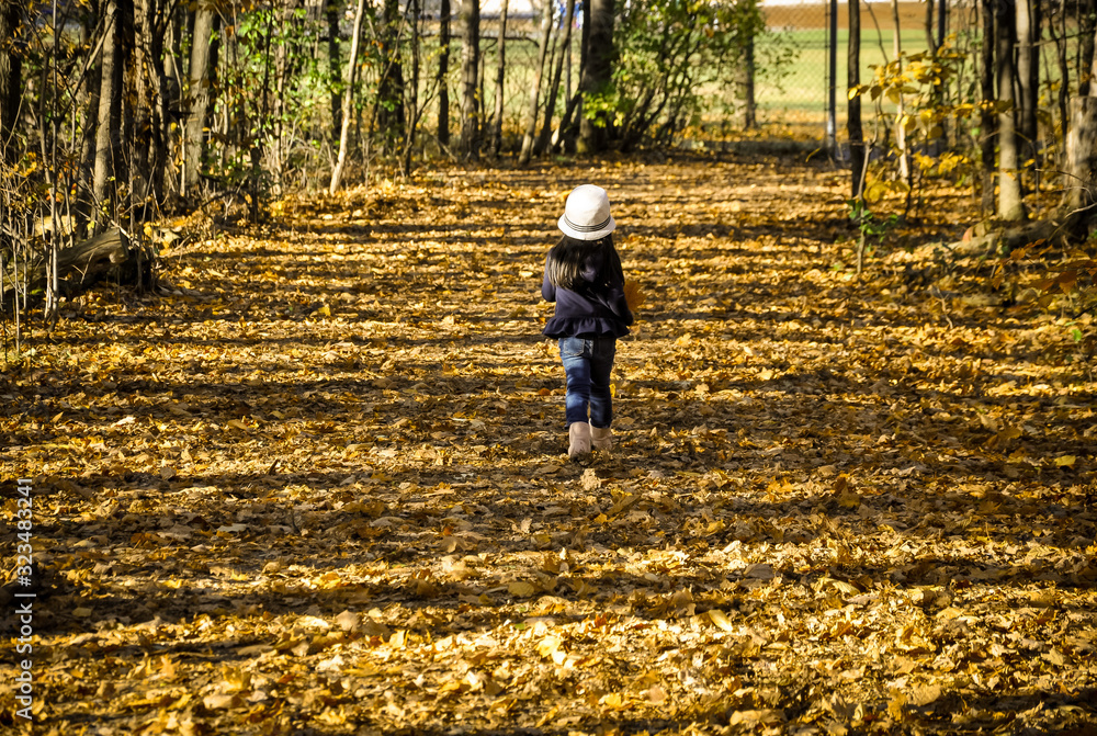 Little girl alone in the woods Little girl alone in the woods