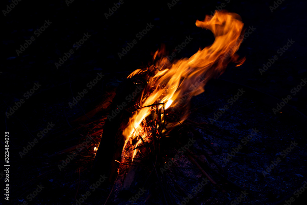 Fototapeta premium Lodernde Flammen eines romantischen Lagerfeuers beim Camping erhöhen Brandgefahr und Gefahr von Brandwunden ebenso wie Waldbrand und Verbrennungen von Würstchen und Grillgut