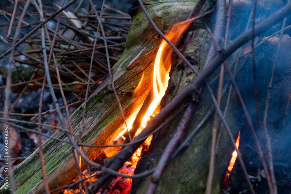Brennendes Lagerfeuer mit romantischem Licht erhellt die Dunkelheit für gemütliches Camping mit der Familie, Grillen und Stockbrot bei wärmendem Feuer und Abenteuer Brennendes Lagerfeuer mit romantischem Licht erhellt die Dunkelheit für gemütliches Camping mit der Familie, Grillen und Stockbrot bei wärmendem Feuer und Abenteuer