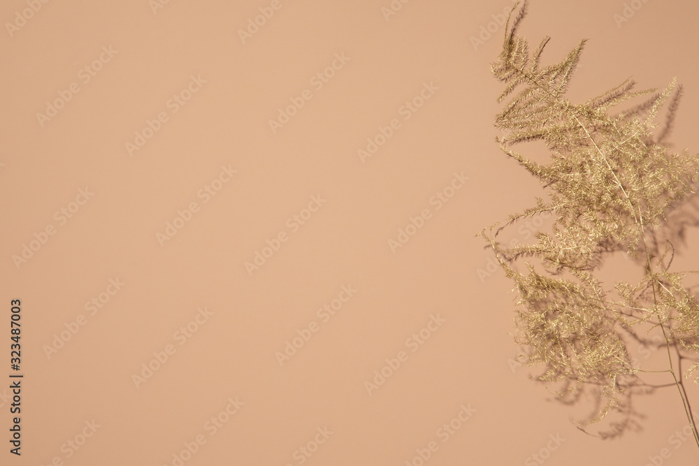 Gold tropical leaves on beige background. Flat lay, top view. Gold tropical leaves on beige background. Flat lay, top view.
