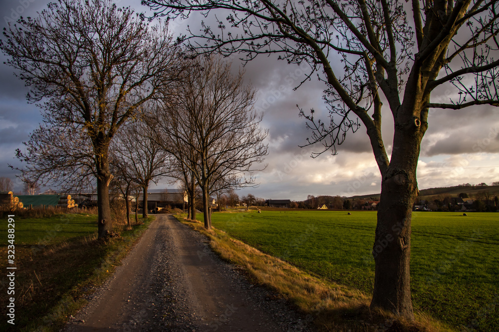 hiking trail in autumn