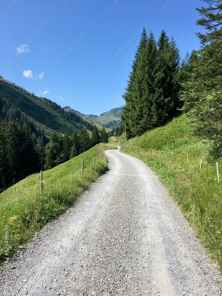 Einsamer Weg Einsamer Weg