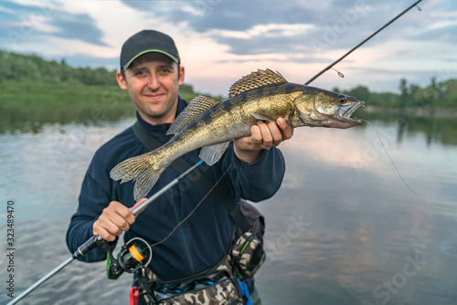Walleye fishing. Happy fisherman with zander fish at river photo