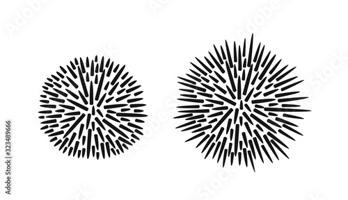 Valokuva Sea urchin logo. Isolated sea urchin on white background. Trepang