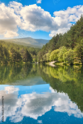 Beautiful mirrored mountain lake in the forest during a clear sky day