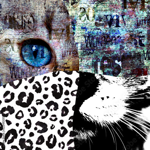 Mixed media art collage. Close up view of cat with green eyes.