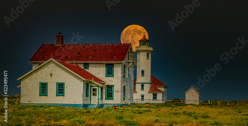 Obraz na płótnie Pt. Wilson Lighthouse Moon w salonie