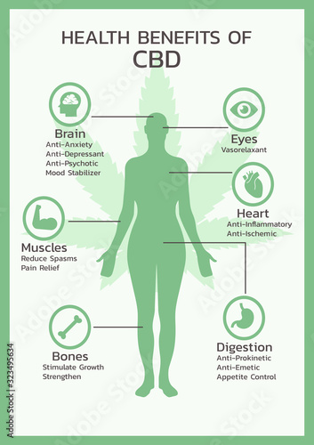 health benefits of CBD or Cannabidiol, Cannabis, hemp infographic information concept. flat vector symbol icon illustration design