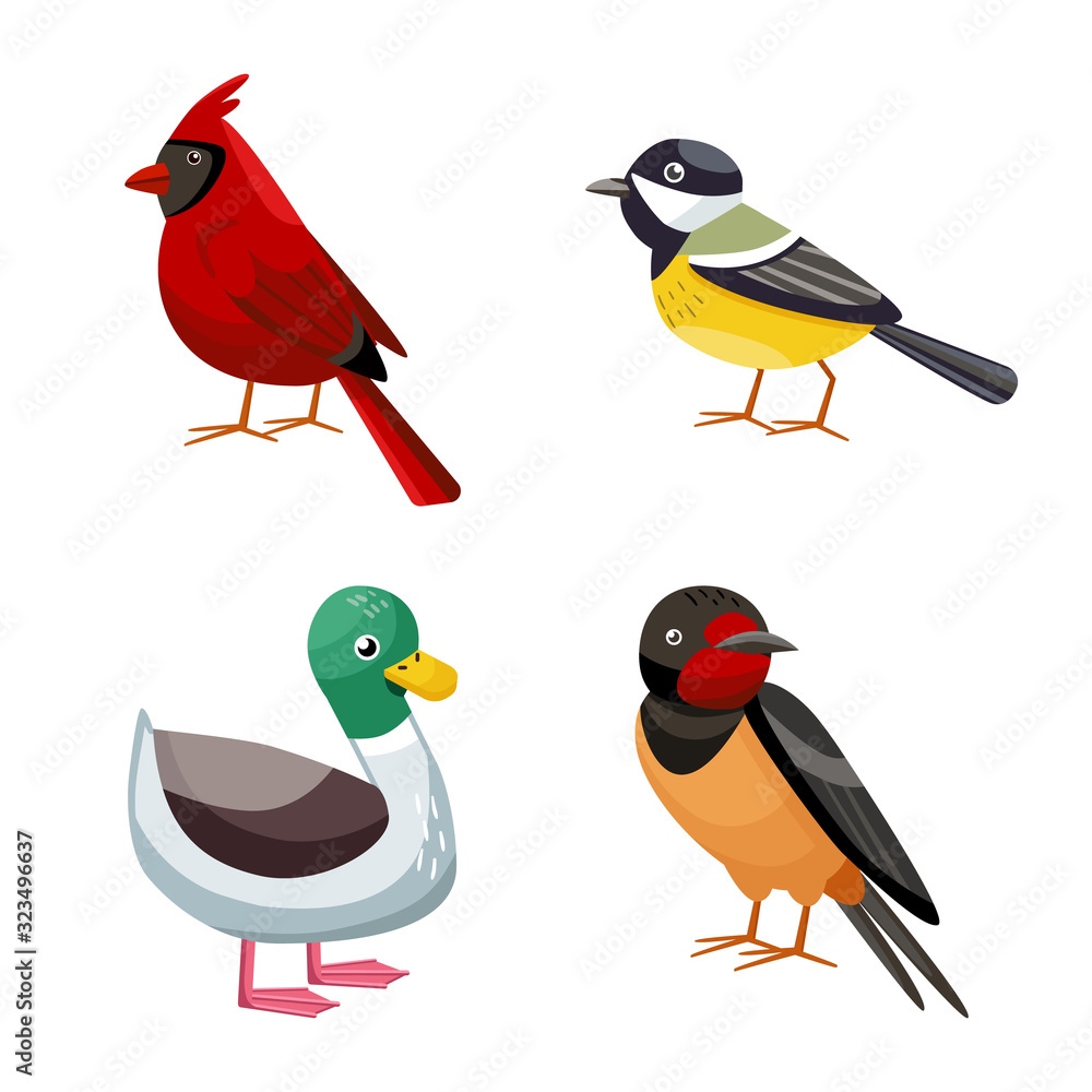 Isolated object of animal and wild symbol. Set of animal and nature stock vector illustration. Isolated object of animal and wild symbol. Set of animal and nature stock vector illustration.