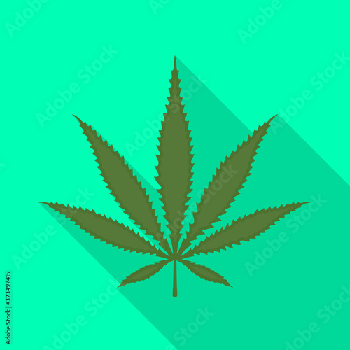 Vector illustration of hemp and cannabis icon. Graphic of hemp and leaf vector icon for stock.