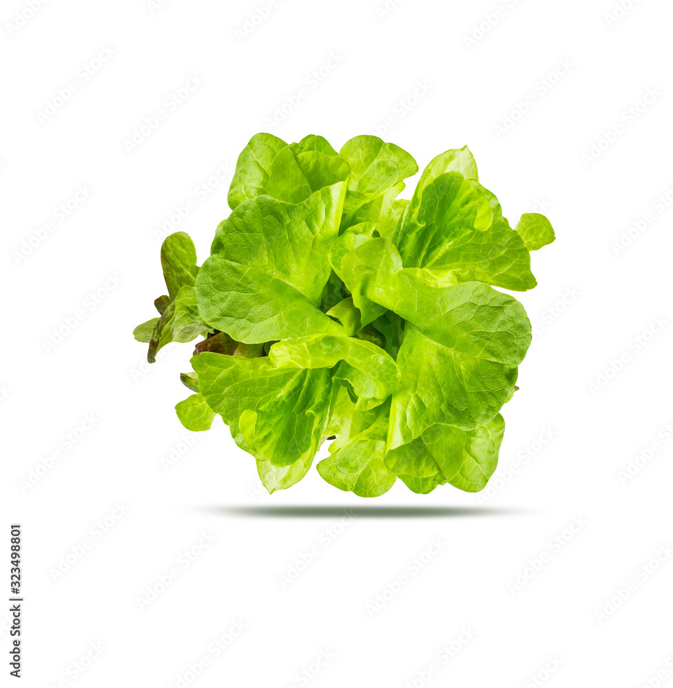 Lettuce isolated on white background with clipping path Lettuce isolated on white background with clipping path