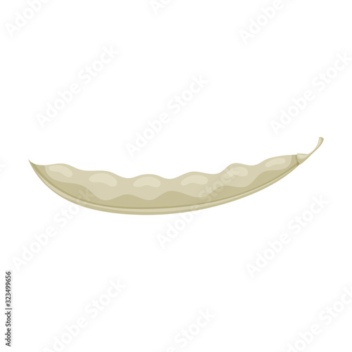 Bean of pod vector icon.Cartoon vector icon isolated on white background bean of pod.