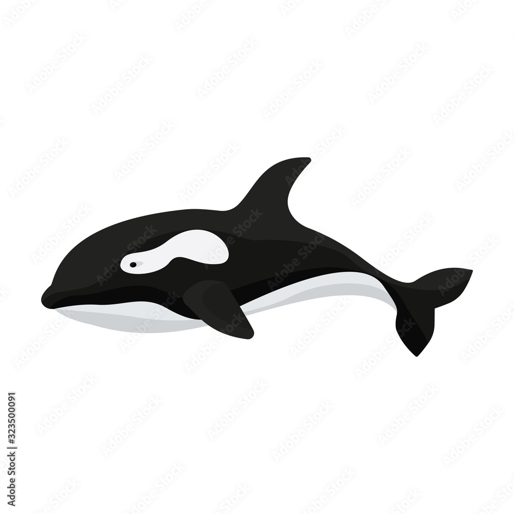 Fototapeta premium Whale orca vector icon.Cartoon vector icon isolated on white background whale orca.
