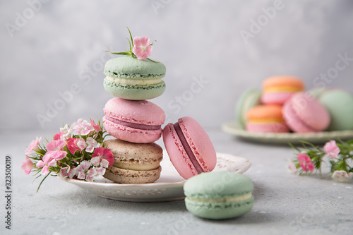 Cake french colorful macarons of pastel color