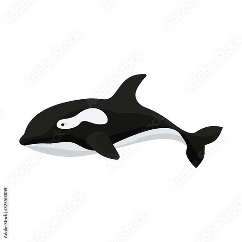 Whale orca vector icon.Cartoon vector icon isolated on white background whale orca.