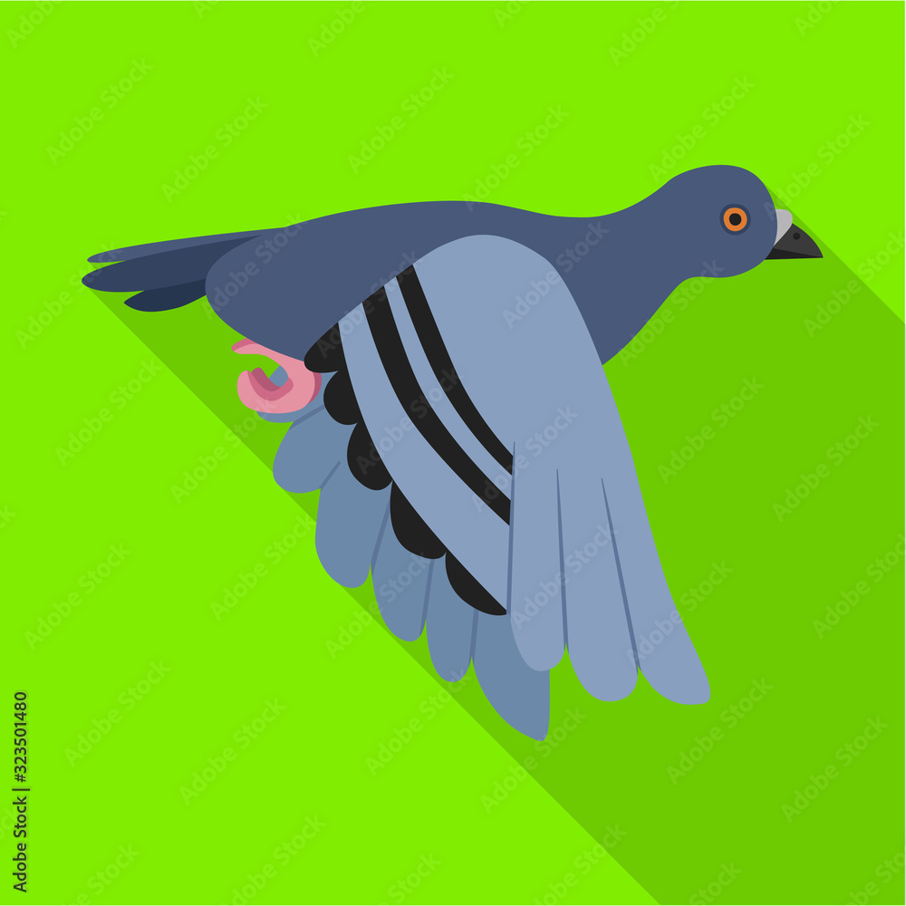 Obraz premium Pigeon vector icon.Flat vector icon isolated on white background pigeon.