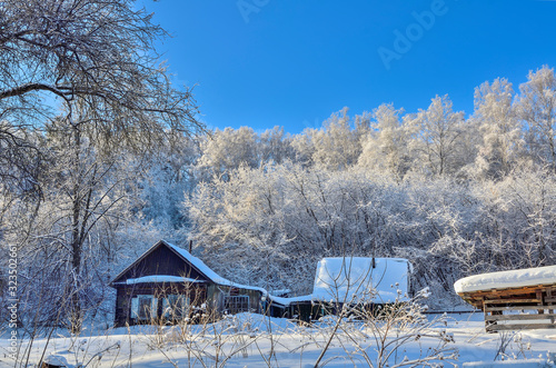 Winter landscape with old wooden village house near snow-covered forest © rvo233