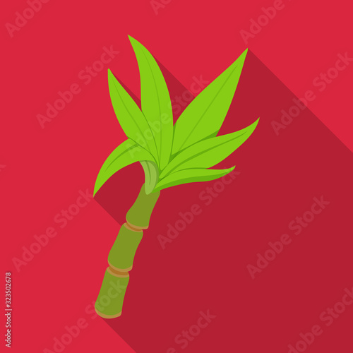 Leaves of sugarcane vector icon.Flat vector icon isolated on white background leaves of sugarcane .