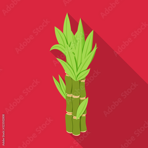 Stem of sugar cane vector icon.Flat vector icon isolated on white background stem of sugar cane .